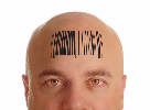 barcode head-448 barcode head-448
